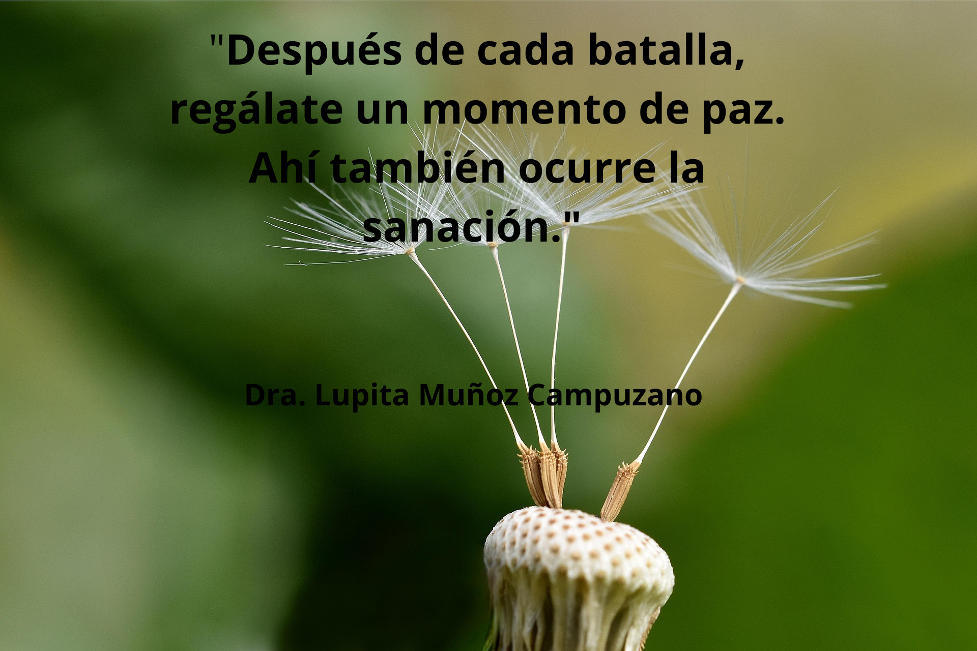 Después de cada batalla, regálate un momento de paz.