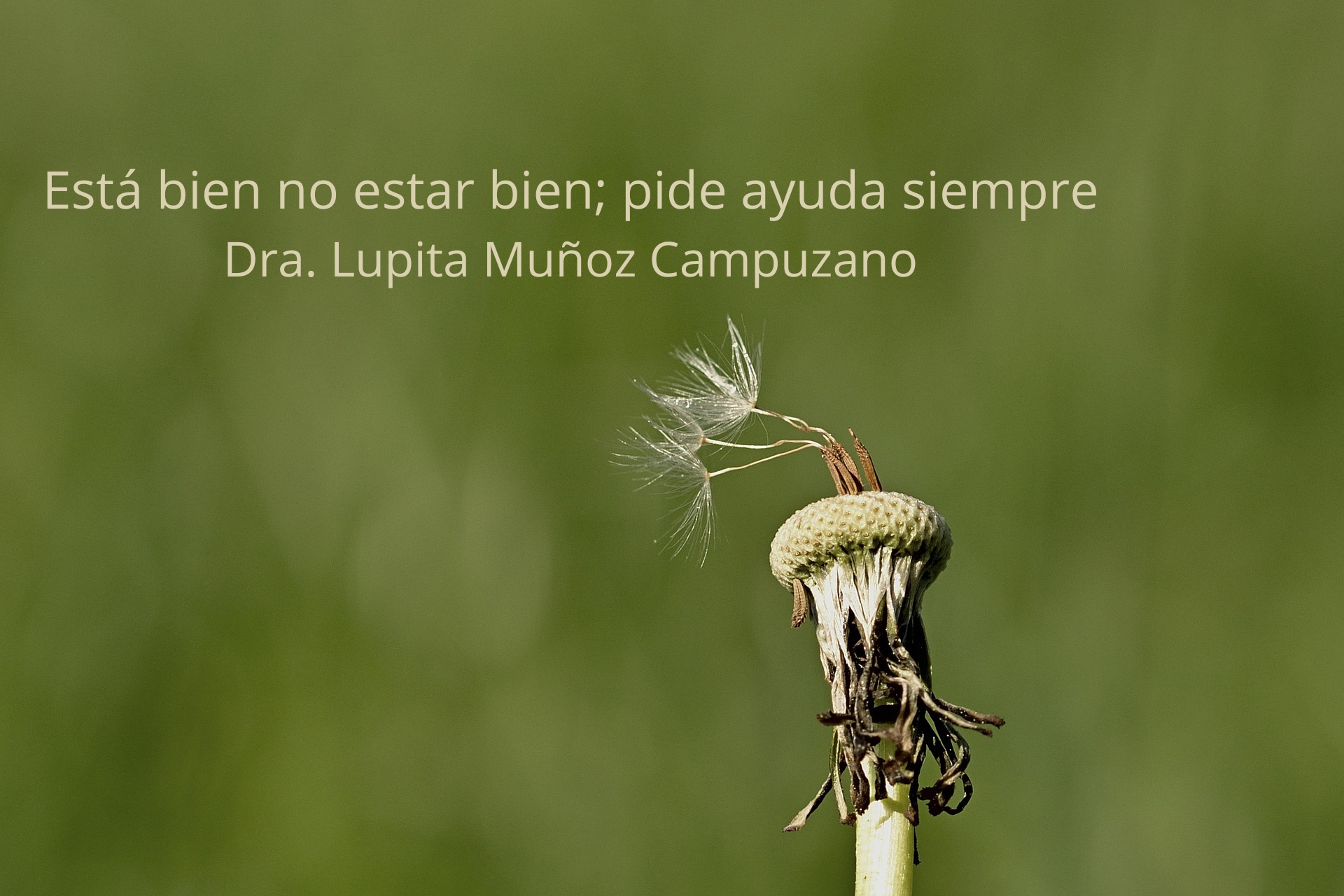 Está bien no estar bien; pide ayuda siempre. Dra. Lupita Muñoz Campuzano