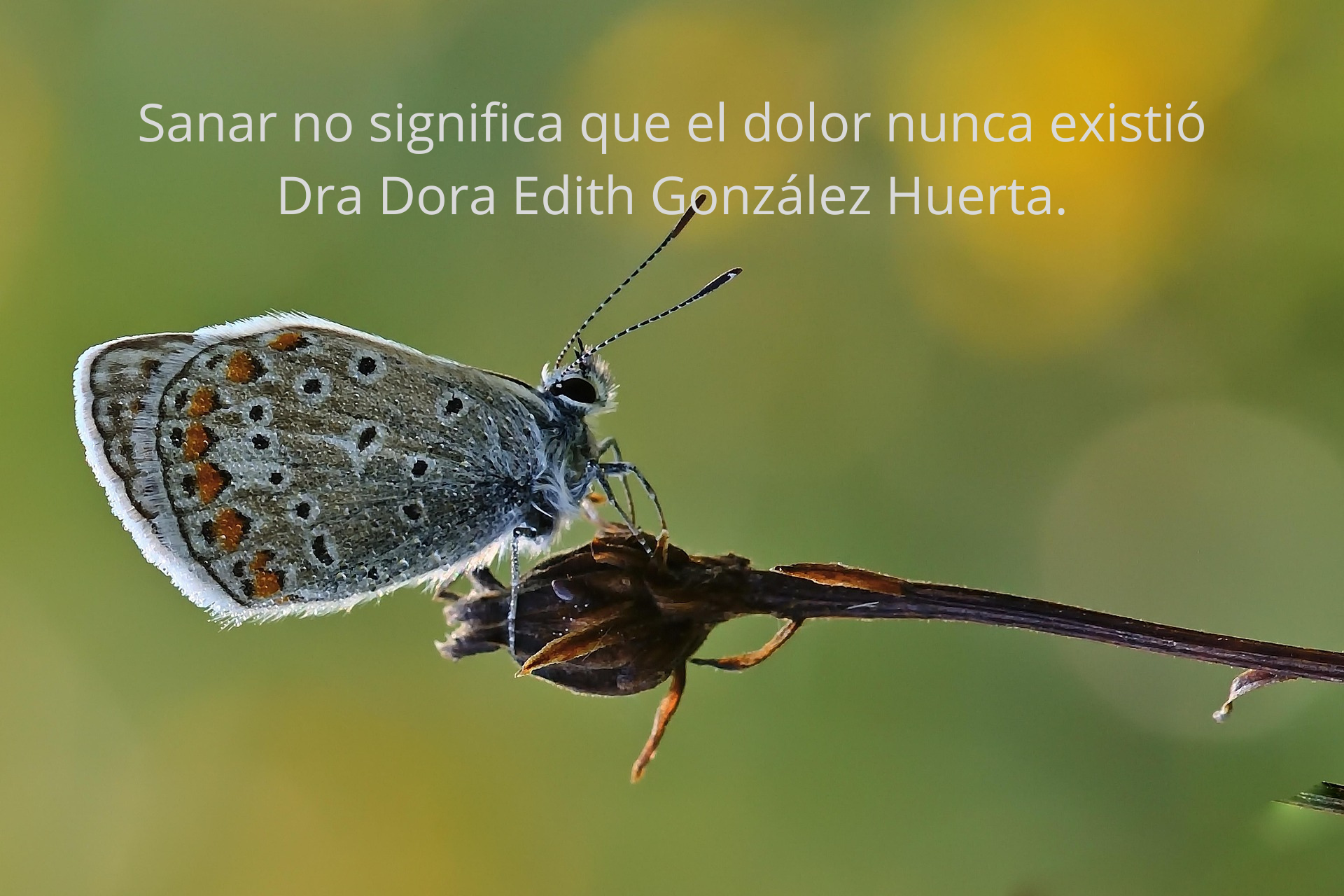 Sanar no significa que el dolor nunca existió. Dra. Edith González Huerta