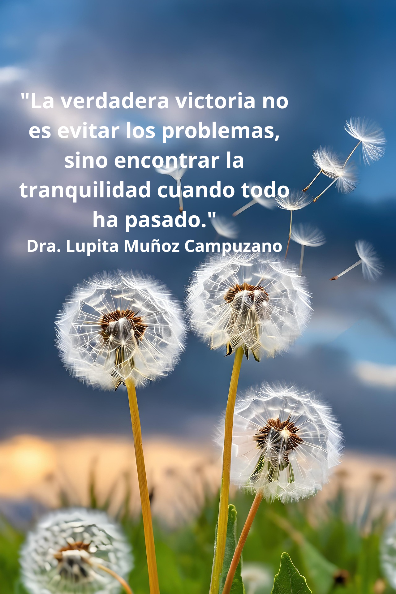 La verdadera victoria no es evitar los problemas...